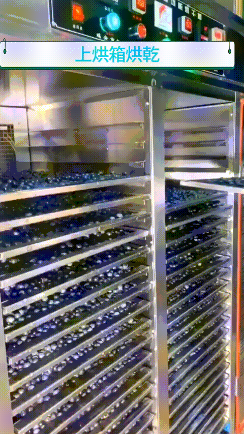 imgi_7_1742180764710351.gif