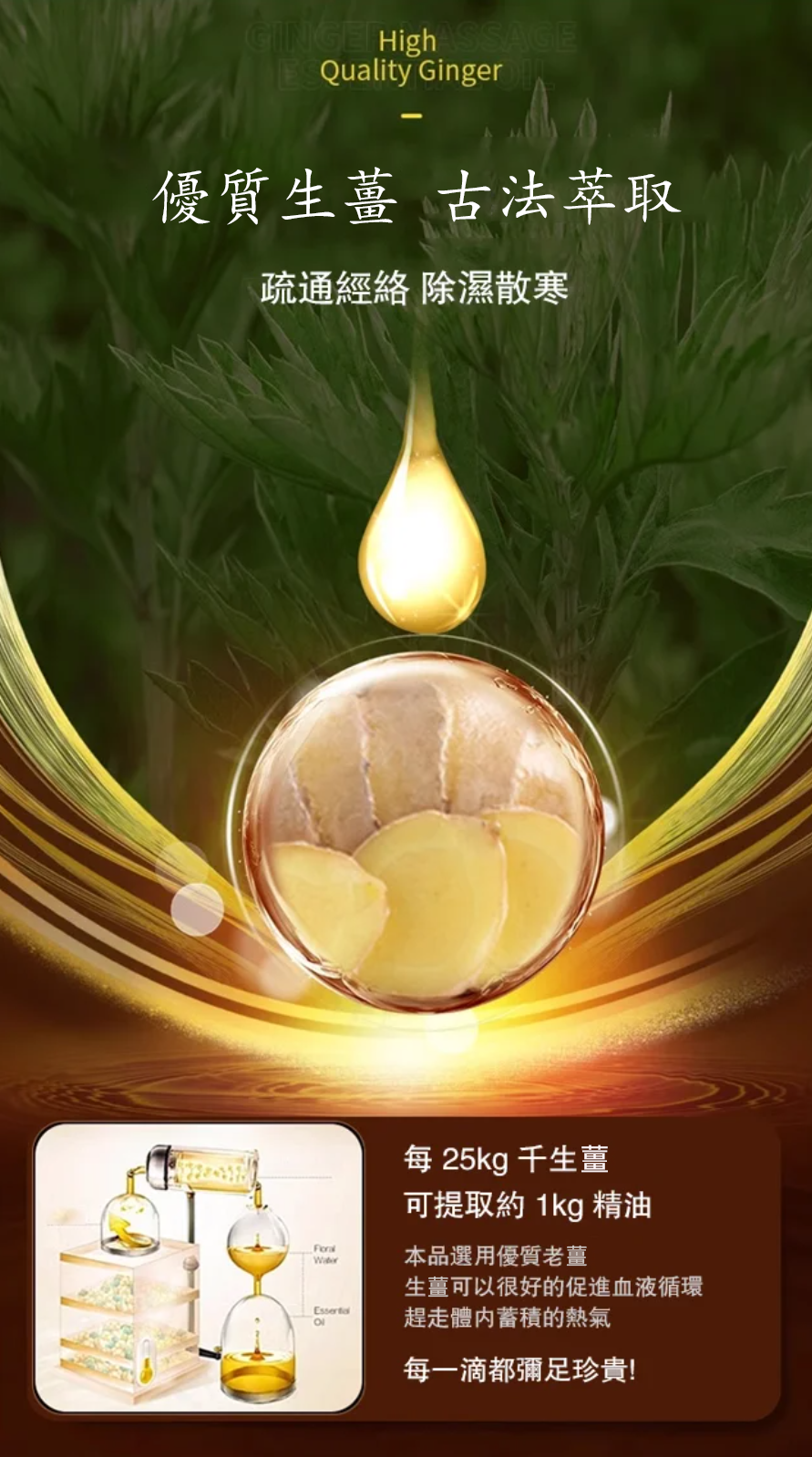 imgi_23_1736843063467039.png