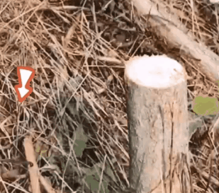 1760492222774052.gif