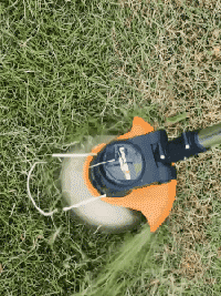1760492245674724.gif