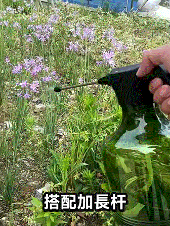 1760670739375165.gif
