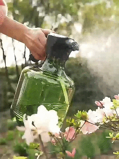 1760670857909968.gif